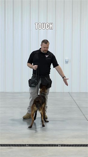 👉🐾 Want a simple command that improves focus fast? The touch command is one of the most underrated tools in dog training — and one of the most useful. In this reel, we’re breaking down how to teach touch in a clear, practical way to help with engagement, redirection, confidence, and communication. It’s great for puppies, reactive dogs, and dogs who need help staying connected around distractions. Simple cue. Big payoff. Save this for later and follow for more real-life dog training tips you ca