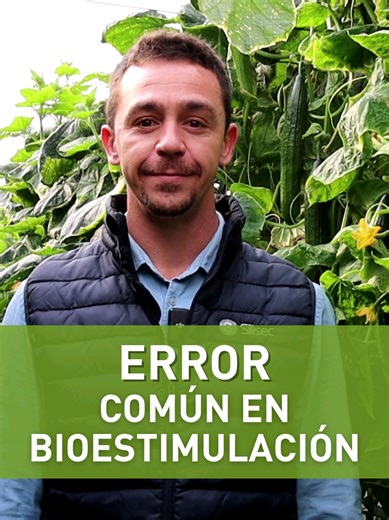Evita errores en tus cultivos: bioestimulación continua