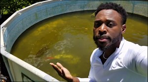 This turtle is super angry: The truth behind the missing fish