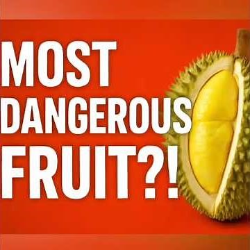 The SHOCKING Truth About Durian — The King of Fruits!