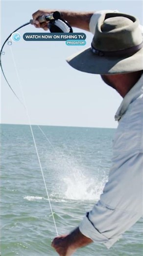 These Queenfish hits are crazy! 😳 - ‘Predator’ on Fishing TV