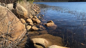 Rediscover Hopkinton's beautiful Blue Pond from three lesser-known trails