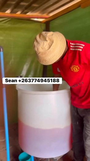 Start your own business freezit making machines for sale Your dedication is your superpower. Keep building those small business dreams, one day at a time 👏 The Freezit Making Machine-SPECIFICATIONS 1. It’s an electrical machine which can be used at domestic or industrial environment. 2. It’s an automatic machine which can be operated by anyone else trained by us freely. 3. Single lane machines have got a capacity of producing 35 freezits per minute. 4. Double lane produces an average of 70 free