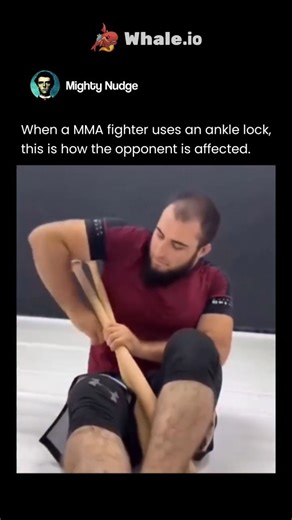 MIGHTY | When an MMA fighter applies an ankle lock, the damage doesn’t come from brute force alone—it comes from biomechanics working against the... | Instagram