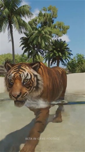 The water physics seen in Planet Zoo 2 looks amaaazing! 🔥🐅💦