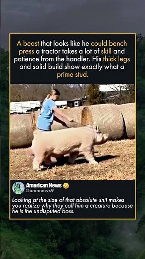 BIGGEST STUD IN OKLAHOMA