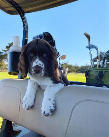 Pebble Beach Resorts on Reels