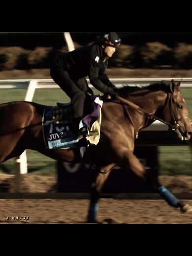 Unbelievably Fast Horses in Action