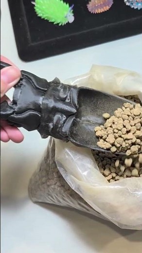 《鍬形蟲為什麼叫鍬形蟲》