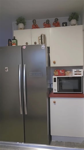 Setting Up a New Fish Tank: First Steps!