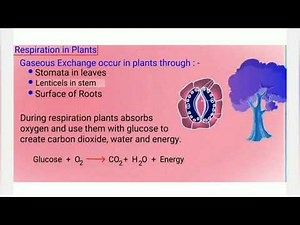 CLASS 10th LIFE PROCESS PART2 NCERT COMPLETE NOTES 📝