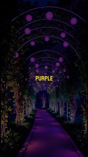 Purple Color Psychology: Personality Traits Explained #colorpsychology #psychologyfacts #psychology