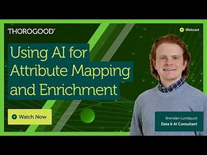 Using AI for Attribute Mapping and Enrichment