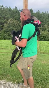 Took a walk to the pond to visit the ducks also🩵 #family #fun #walk #nature #fb #fyp #monkeys #farmlife | Our Life Adventures