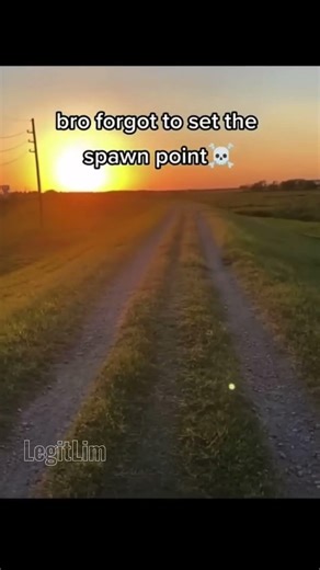 Bro forgot to set the spawn point☠️#funny #goesviral #penguin