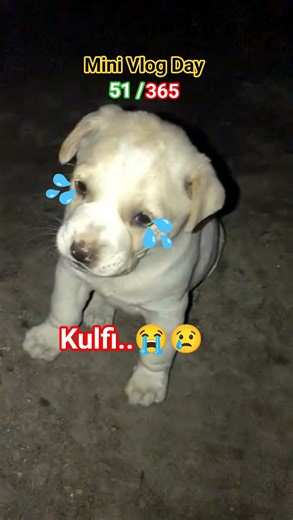 Kulfi Ki Mummy Kho Gayi 😢 #shorts #minivlog #animals #dog #pets #doglover