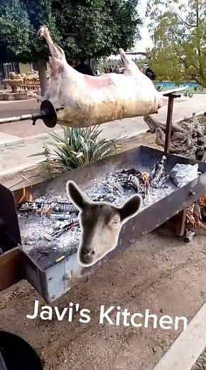 Whole Goat Roast over Open Fire in Backyard Setting
