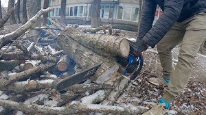 Free video - Chainsaw, Saw, Tool, Machine, Work