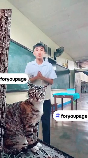 Maybe This Time Dance Tutorial | New TikTok Trend