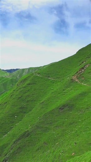 #home #hindisong #bollywood #trending #viral #youtube #shorts #viralmusic #viralsong #nature