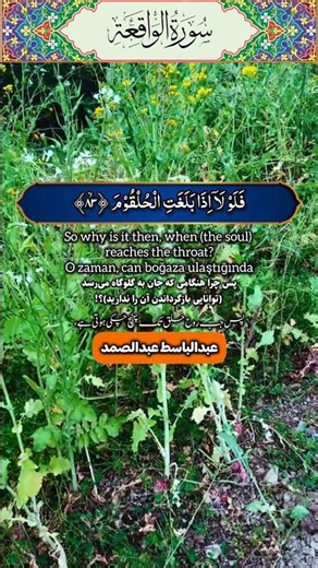 فَلَوۡ لَاۤ اِذَا بَلَغَتِ الۡحُلۡقُوۡمَ🌹سورہ الواقعه🌹عبدالباسط عبدالصمد🌹shorts🌹