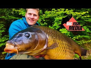 Einfach Karpfenangeln - Ufernah fischen und fangen