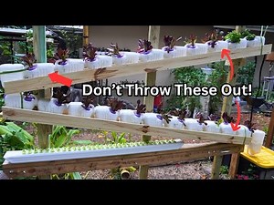 Complete Guide for Milk Jug Hydroponic Tower