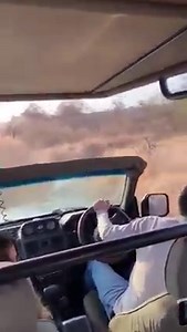 118K views · 1K reactions | A first time safari turned into an exciting and unforgettable trip to South Africa. These people were charged by multiple elephants to protect their young ones. The roads are almost undrivable making it extremely difficult to drive away to safety. It's a life-flashing-before-your-eyes kind of moment, but as these people said, they felt so alive at the same time  | Rumble | Facebook