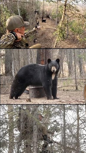 Bowhunter’s POV from stand on a MASSIVE black bear #bowhunting #bear #blackbear #archery #hunting