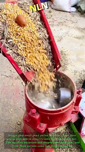 Small Feed Pellet Machine, Process Corn Into Animal Feed Pellets