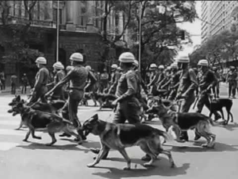 Breve História da Música Popular Brasileira