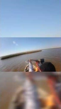 Redfish Fun on the Fly #fishing #redfish #kayakfishingtips #speckledtroutfishing #redfishfishing