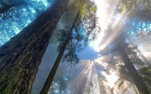 如何使用Axure的动态面板实现屏幕滑动