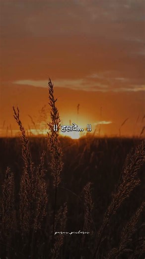 Kitida Navyane | मराठी गाणी | Marathi Song | Lyrics #lyrics #shorts #hearttouching #melody #status