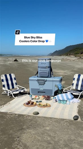 💙☁️ NEW COOLER COLOR DROP ☁️💙 We're seeing blue skies & picnics on the horizon with FrostVault in Blue Sky Bliss. #NinjaFrostVault #NinjaFrostVaultGo #NinjaCooler #ColorDrop #SpringSeason