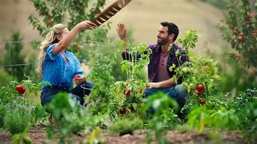 Dishing Up Love (2025)  Romance , Comedy  Western Movie