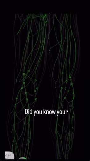 Here’s a clear and informative explanation of how the lymphatic system works and why it’s so important for our health. Sharing this to help anyone curious about wellness and the body’s natural detox pathways. Credit to @fitomizefitness for creating this educational content. #LymphaticSystem #WellnessEducation #HealthAwareness #TifeWellness | Tife Wellness and Spa