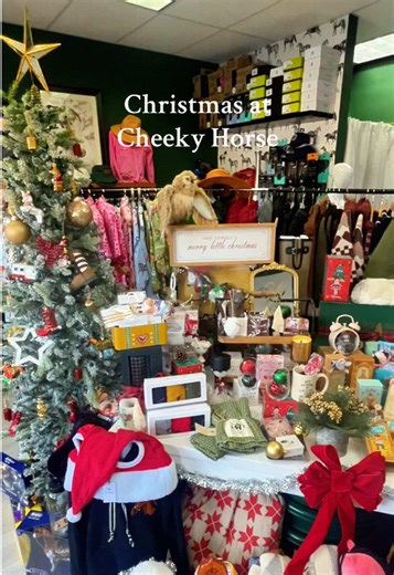 New shop dog alert! 🐶🎁 Come meet Dally Dog and get your Christmas shopping done local. @Cheeky Horse has tack, apparel, home décor, and gifts for every rider (and non-rider!) on your list. Support small, shop local, and make it a Cheeky Horse Christmas❤️💚 #ShopLocal #CheekyHorse #CowgirlChristmas #HeelersOfTiktok #SouthBay