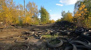 7 Expert Tips to Prevent Tire Dry Rot and Extend Tire Life