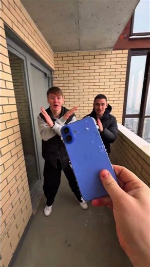 cat mode vs. cardboard box — evolution 3.0! 📦🧬