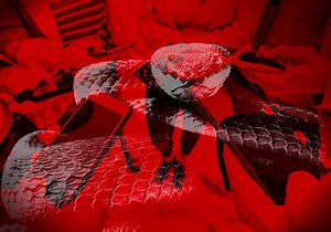 Majority of Filipinos say influencers, bloggers, vloggers spread false political info – Pulse Asia