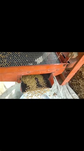 That rhythmic hum you hear? It's our cleaning machine, working diligently to sort each grain to perfection. This might seem like a small step, but it's mighty important in bringing you the finest produce. Right here in Raipur, Chhattisgarh, we take immense pride in making sure every single grain meets our high standards of purity and quality. For us, it's truly more than just a process; it's our unwavering commitment to you and your family. We'd love to know: what delicious creations are you pla