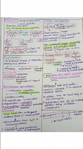 NEET 2026 - Eukaryotic cell Full Handwritten Notes | Chapter 8 - Cell The unit of life | Class 11