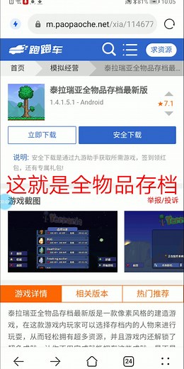 泰拉瑞亚全物品存档（附下载链接）
