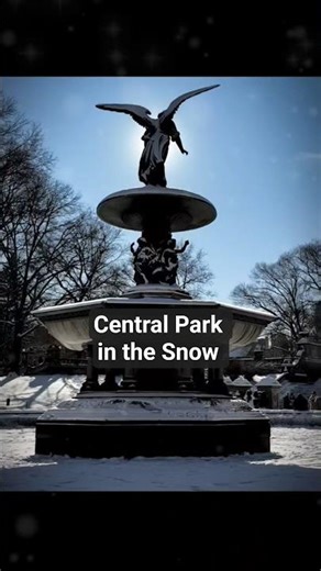 A Walk Through Central Park In The Snow - NYC in Winter