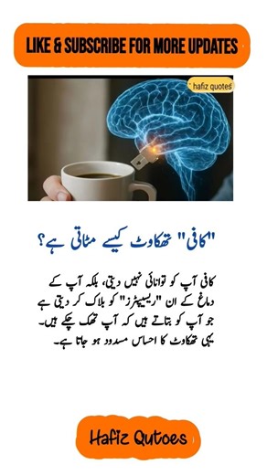 4 Life-Changing Quotes That Will Inspire & Motivate You! #HafizQuotes #lifelessons