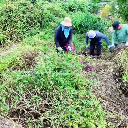 Bringing a long abandoned mansion back to life after 10 years an unbelievable transformation you have to see!#AbandonedHouse #HouseRestoration #CleanupTransformation #BeforeAndAfter #RestorationProject | Clean The Old House