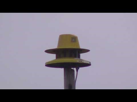 DUAL-TONED ACA Banshee 115 Siren Test (1 Minute Alert), Bensenville, IL – 3/1/22