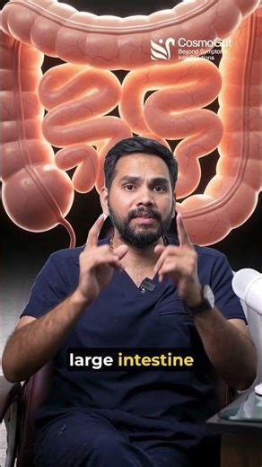 Gas Problem Starts in Stomach or Intestine? Real Root Cause Explained