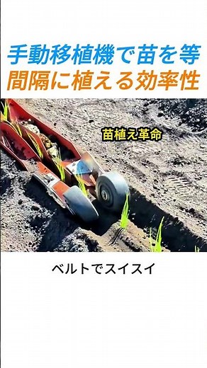 手動移植機で苗を等間隔に植える効率性